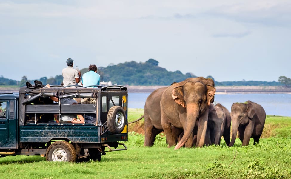 Minneriya National Park